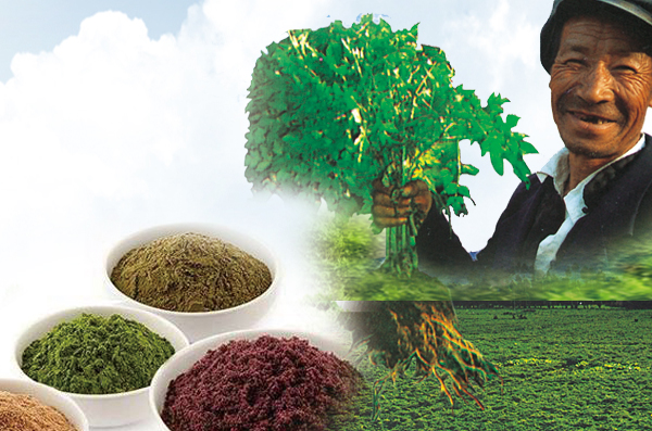 Herbal Extracts